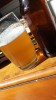 Brewer profile picture