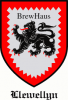 LlewellynBrewHaus