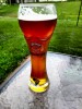 Brewer profile picture