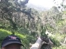 Brewer profile picture
