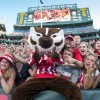 Badgerfan79