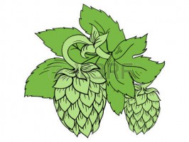 brewer logo