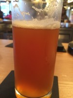 brewer logo