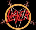 Brewer profile picture