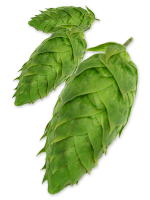brewer logo