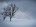 ArcticShooter