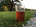 HomebrewBen