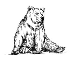 brewer logo