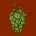 pipobrew