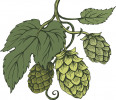 Brewer profile picture