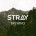 Stray Brewing