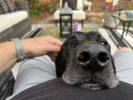 Brewer profile picture