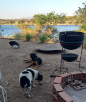 Zambezi Special