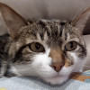 Brewer profile picture