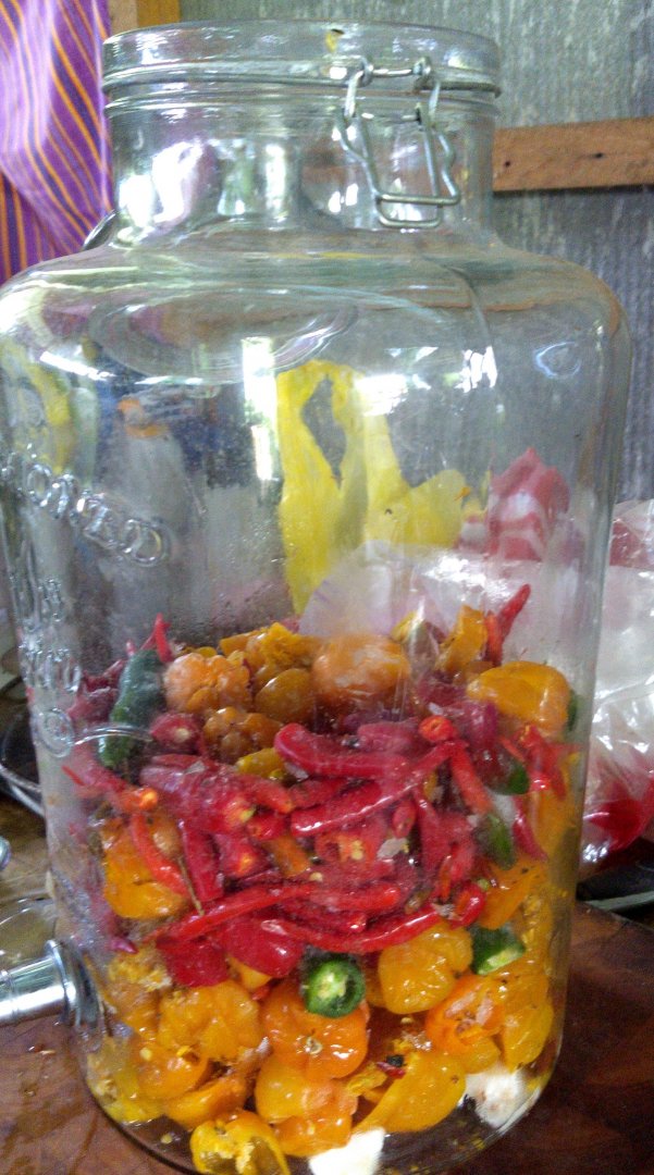 01 all kind frozen chili.jpg