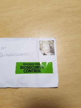 1597013869148.jpg