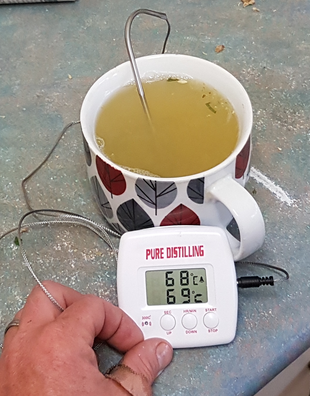 20170518_144025.jpg