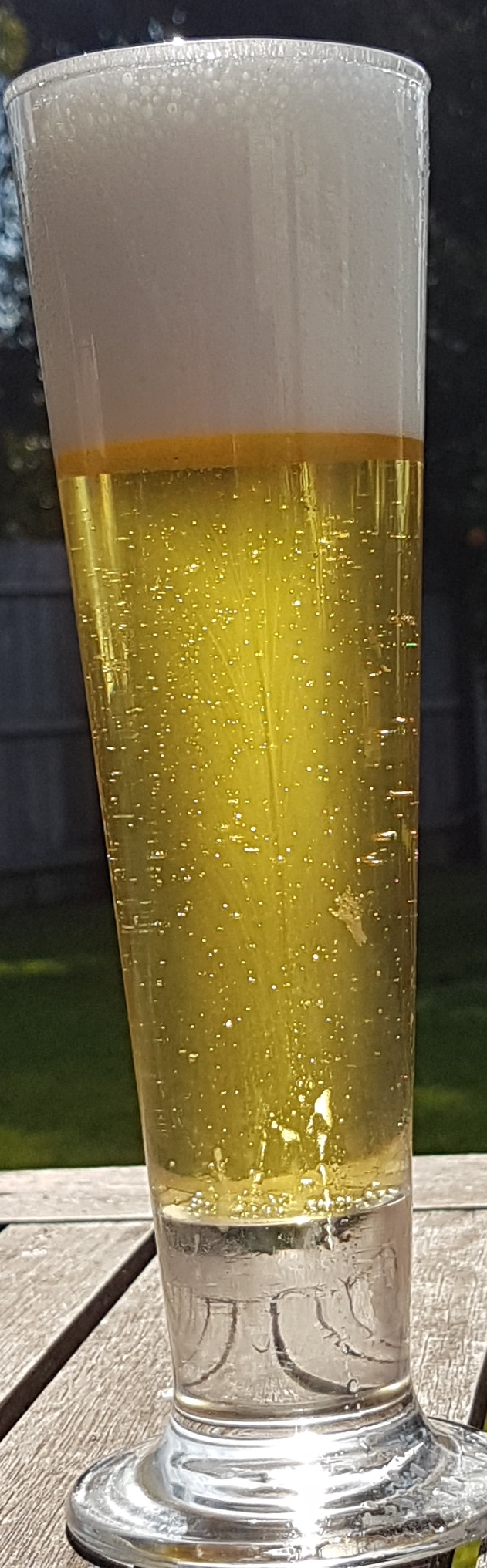 20170806_140312.jpg