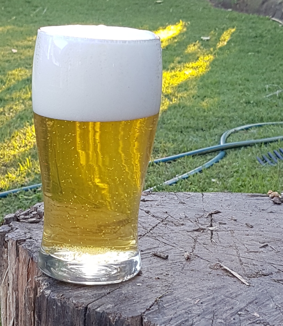 20170808_163245.jpg