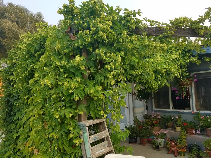 20170811_080707_resized.jpg