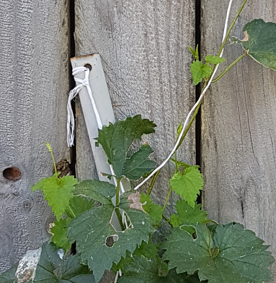 20171220_161918.jpg