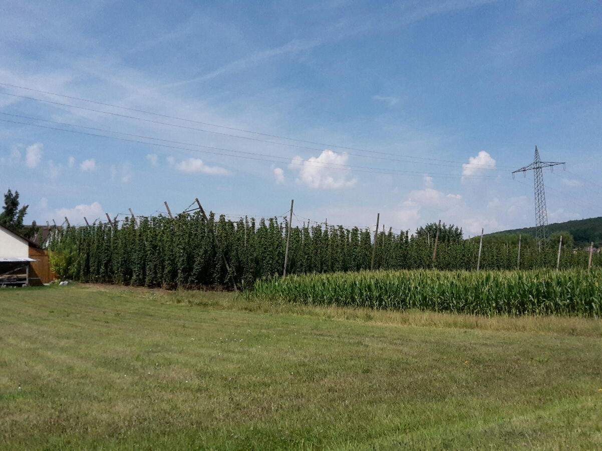 2018-07-18 17.17.12.jpg