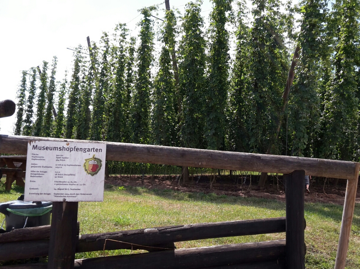 2018-07-18 18.47.01.jpg