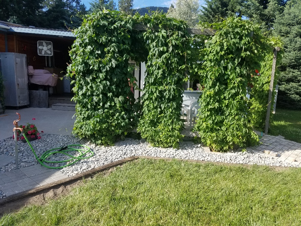 20180625_180813_resized.jpg