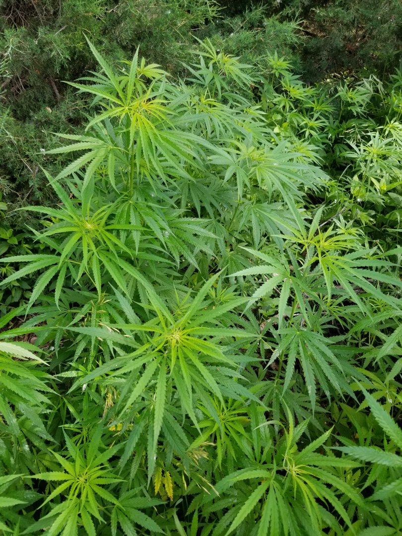 20180627_093747.jpg