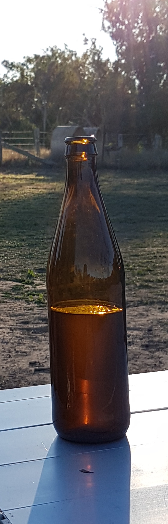 20180709_162256.jpg