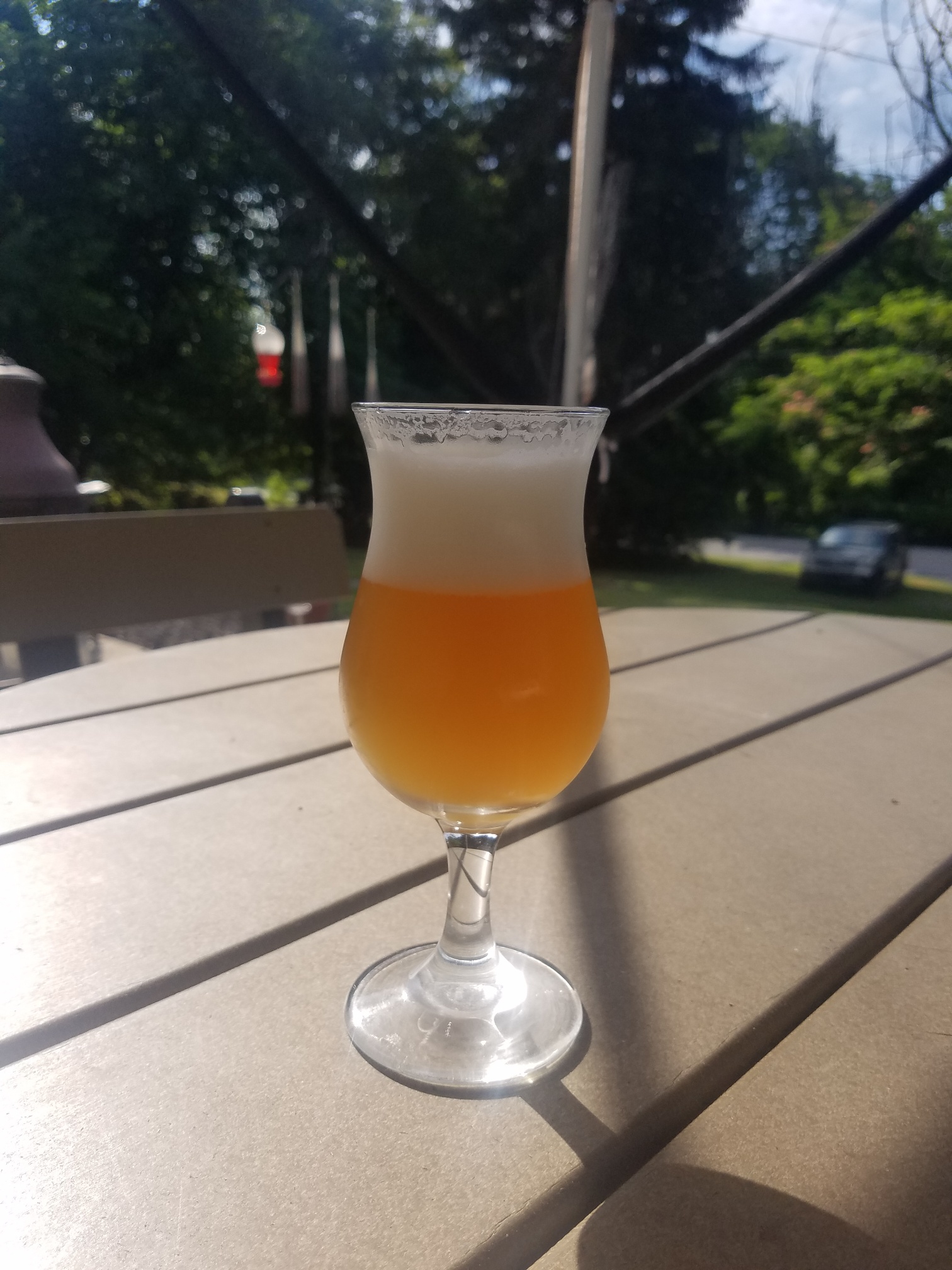 20180720_171414_resized.jpg