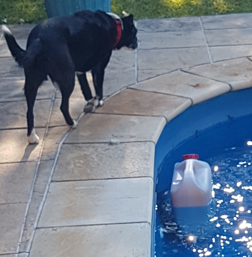20180817_150646.jpg