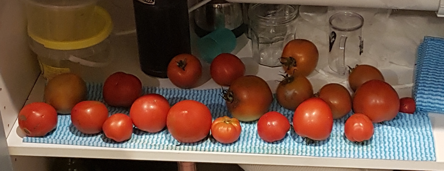 20181029_152520.jpg