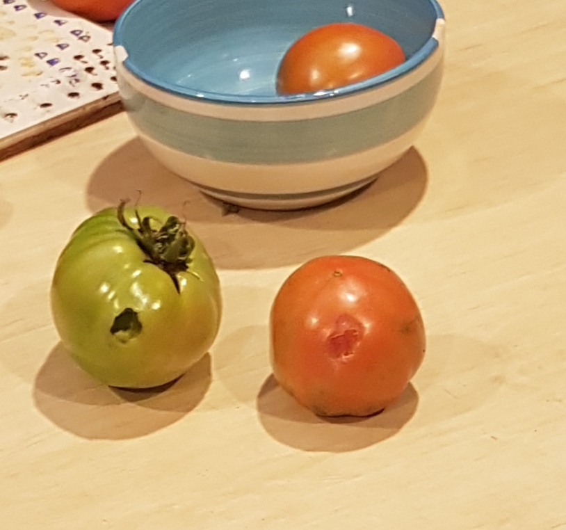 20181029_161353.jpg