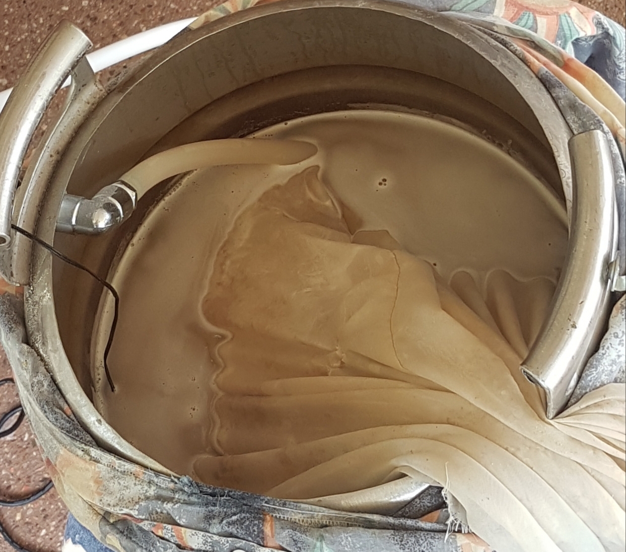 20190119_133136.jpg