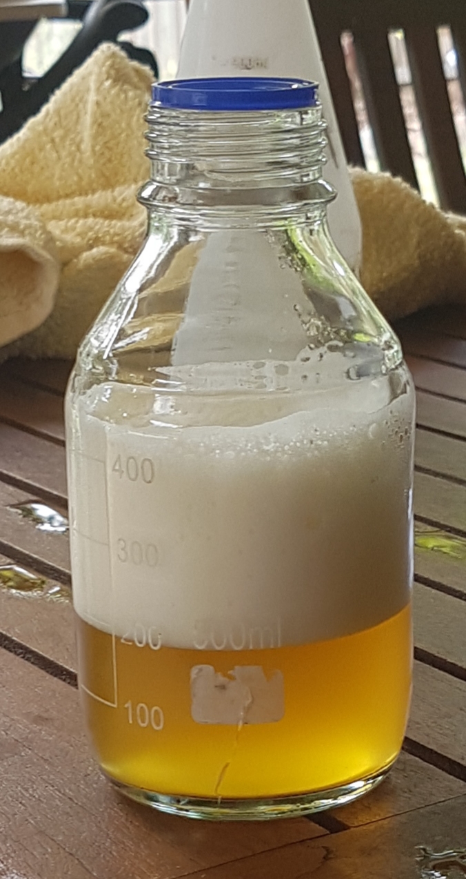 20190120_113043.jpg