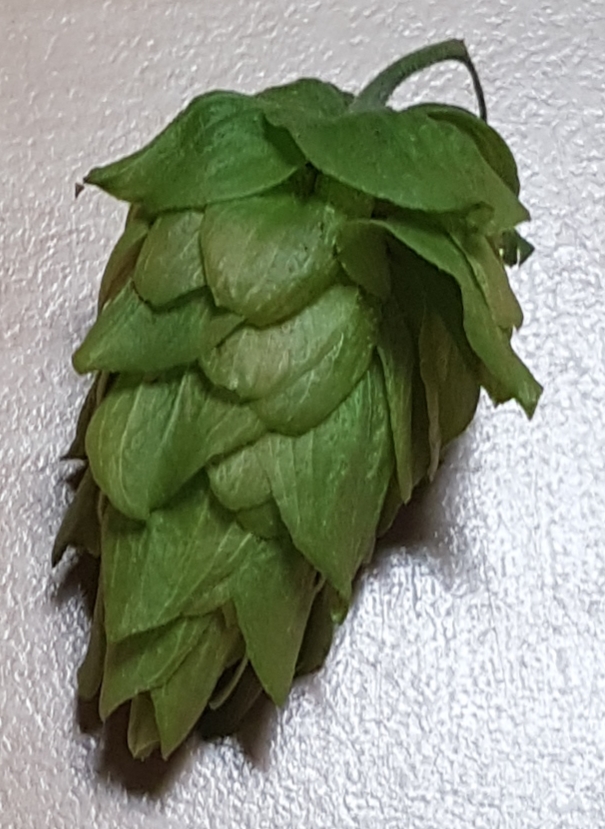 20190205_142306.jpg