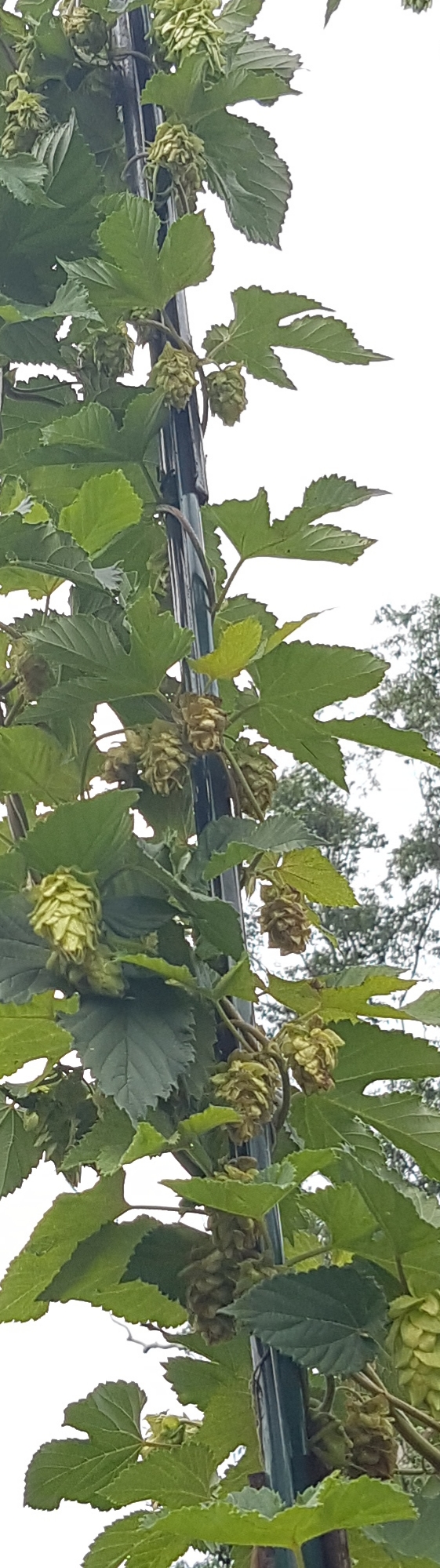 20190205_142337.jpg