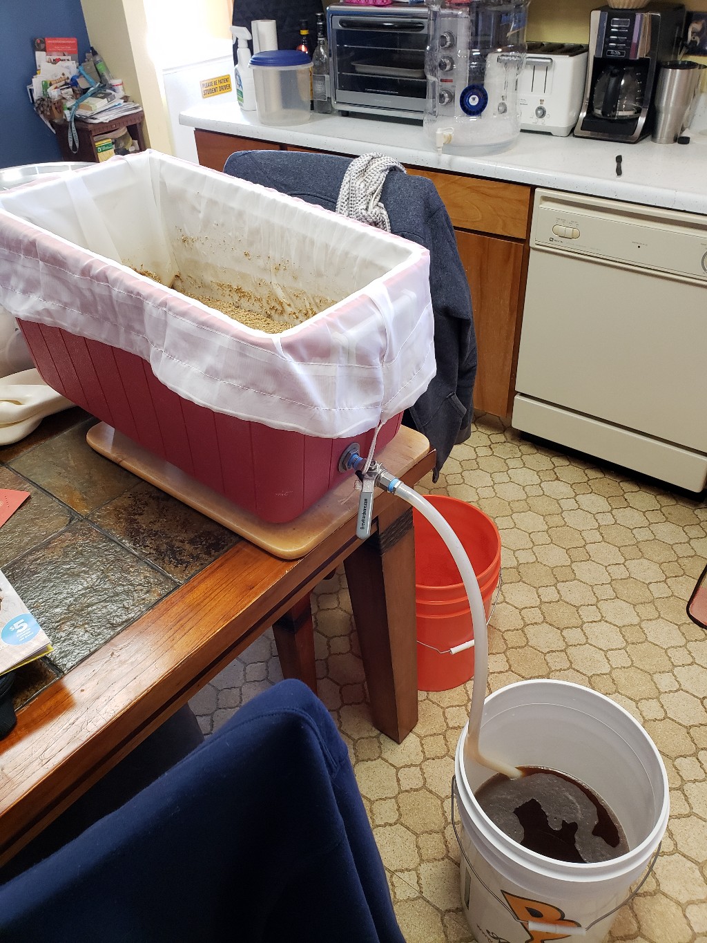 20190224_091516-1024x1365.jpg