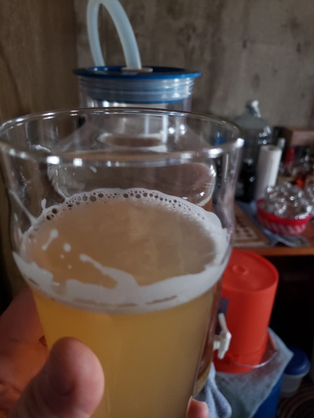 20190224_121459-1024x1365.jpg
