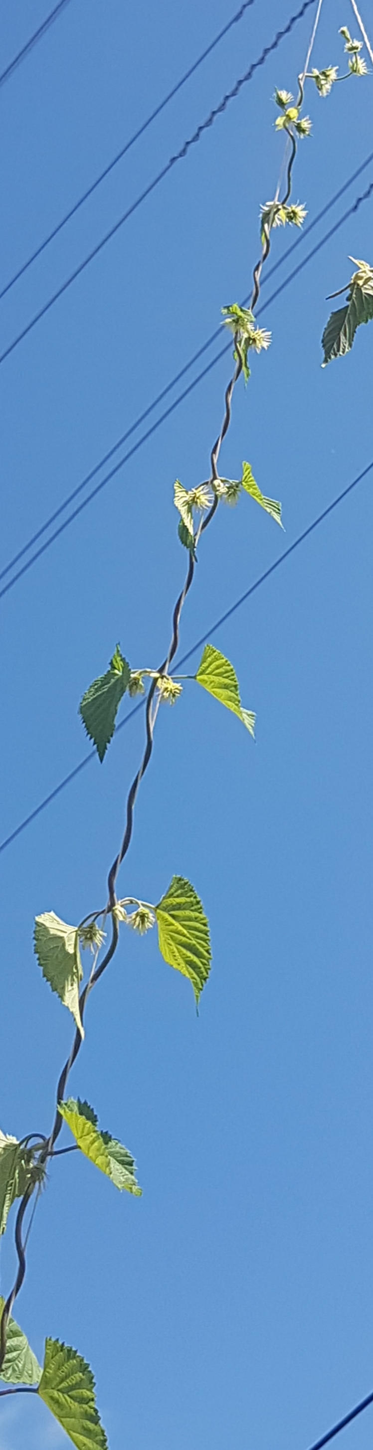20190224_152838.jpg