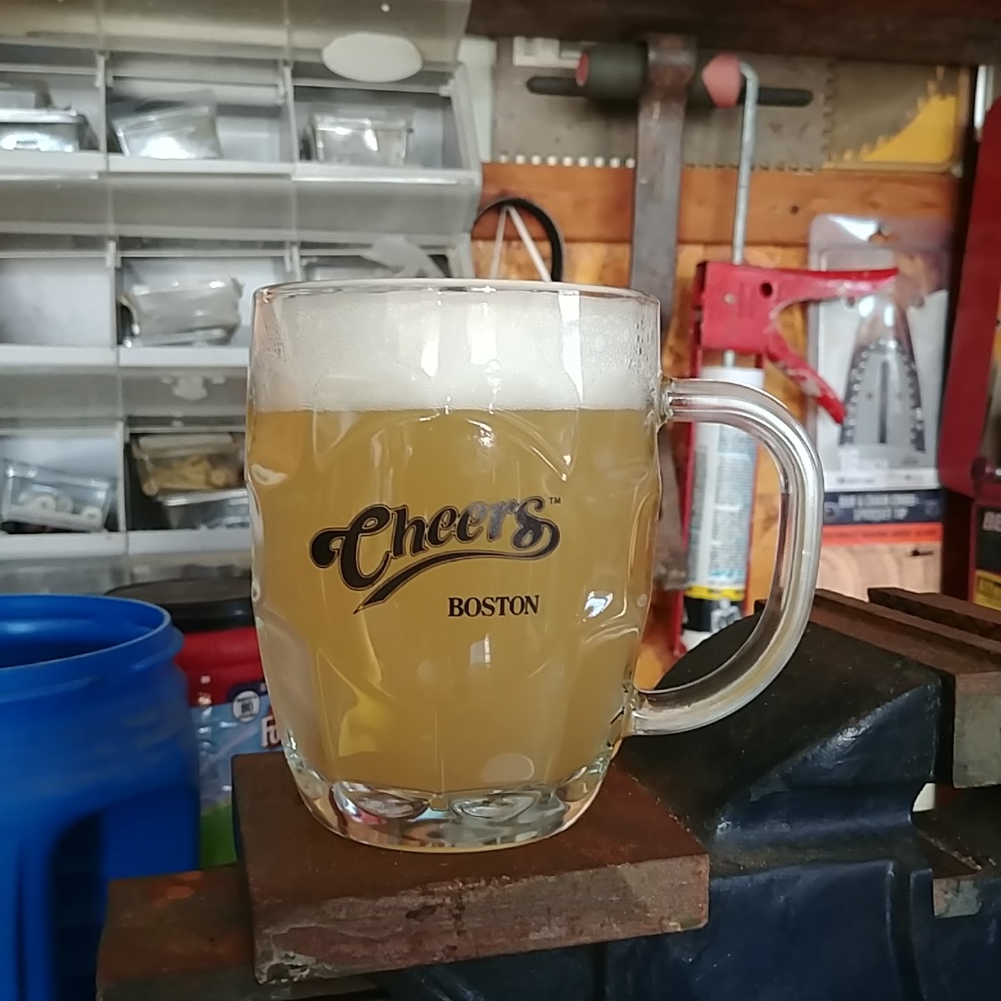 20190309_130246.jpg