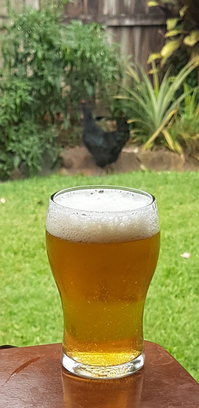 20190314_155838.jpg