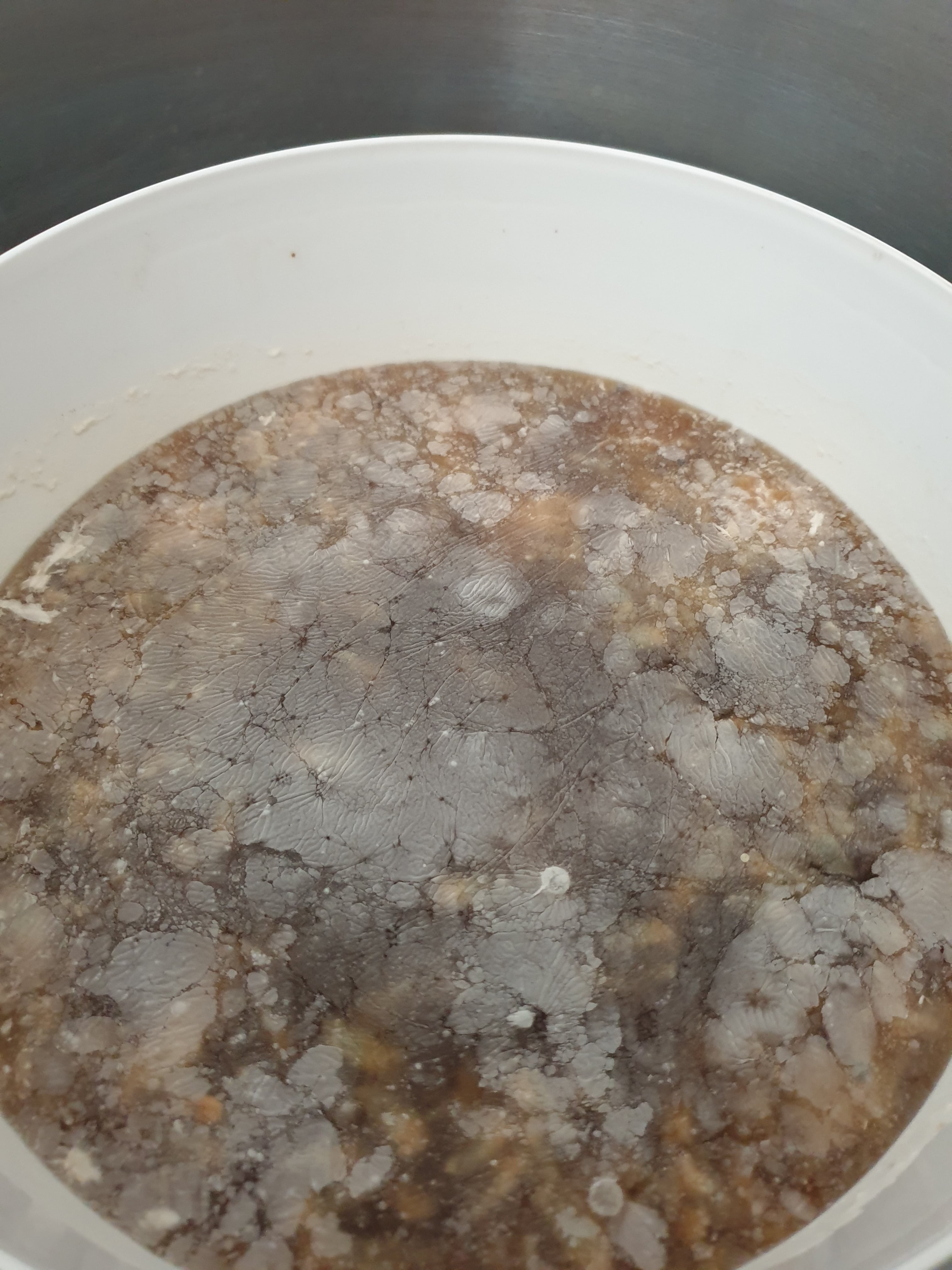 20190319_085942-min.jpg