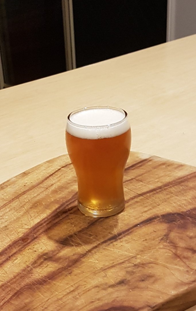 20190428_174157.jpg