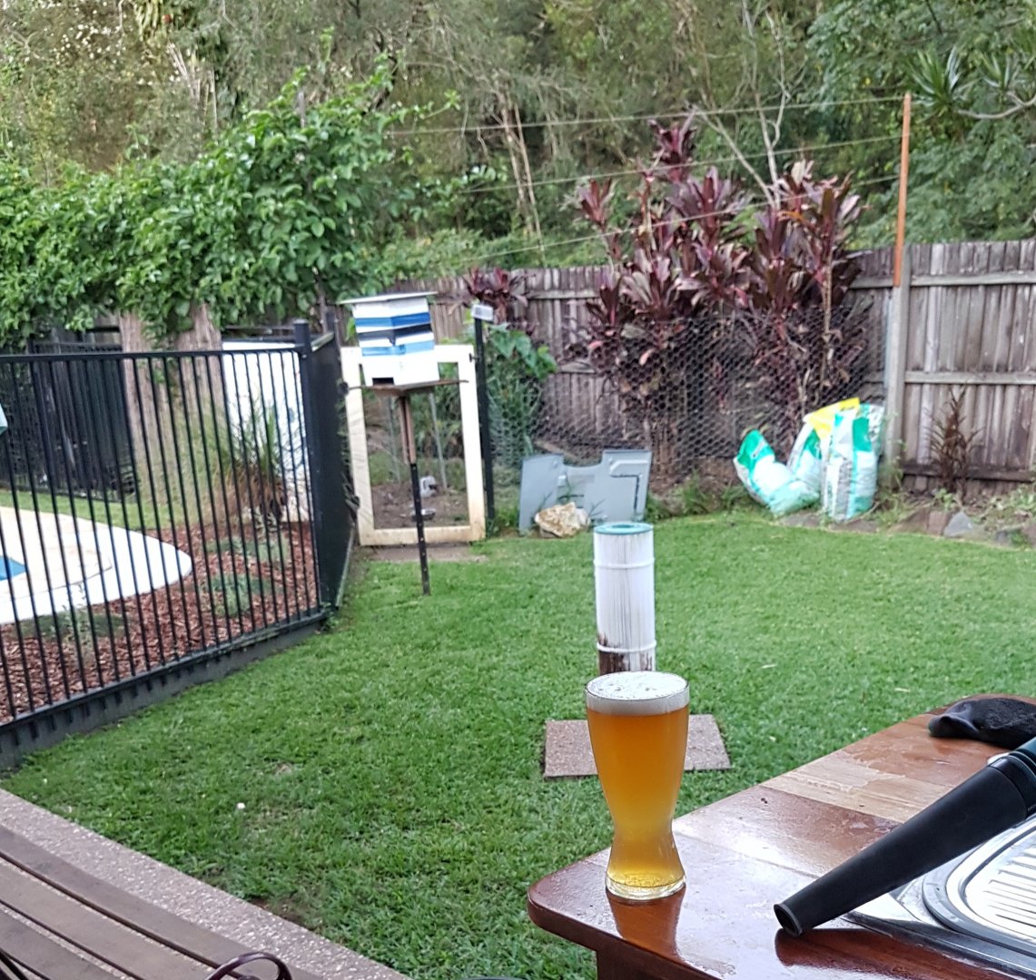 20190509_165949.jpg