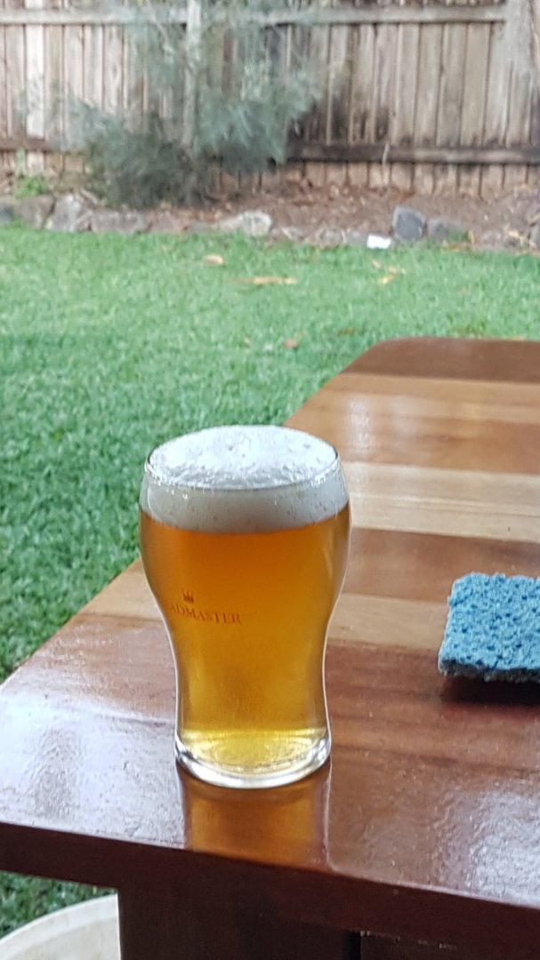 20190619_170251.jpg
