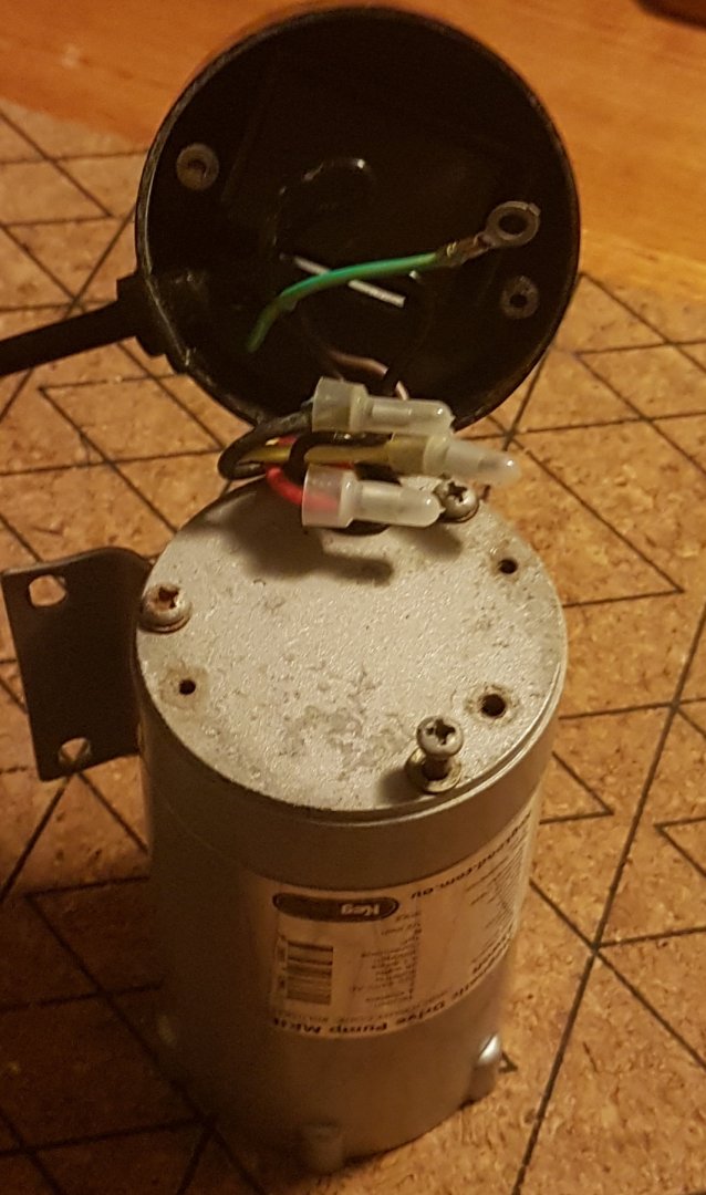 20190621_060023.jpg