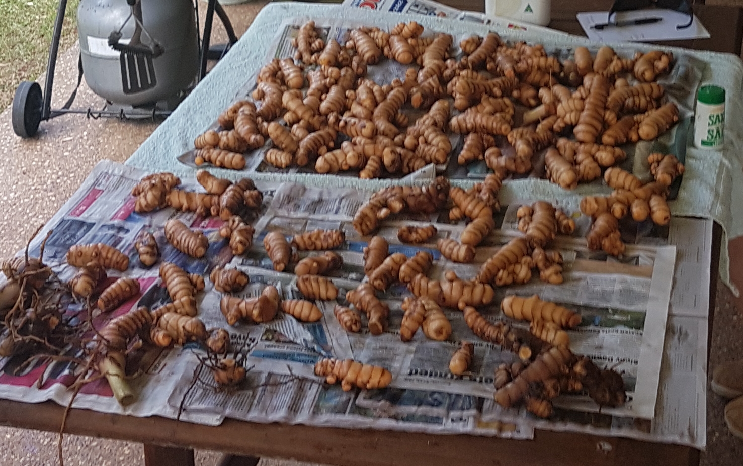 20190728_112133.jpg