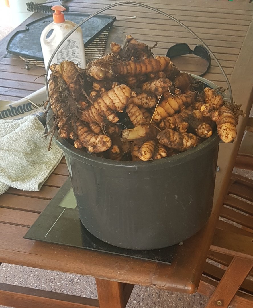20190728_114447.jpg